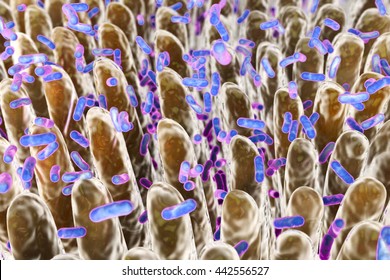 Human Intestine With Intestinal Bacteria, 3D Illustration