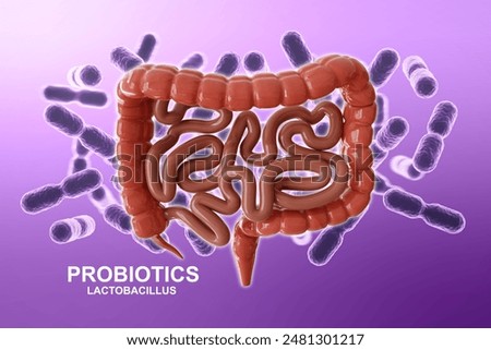 Human intestines with probiotics. Probiotics for human microbiome. 3d-rendering
