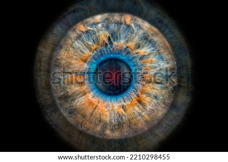 Human iris macro and hi-tech concept, human eye recognition scanning process. Stok fotoğraf © 