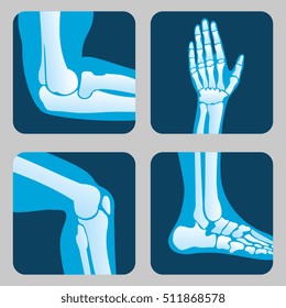 Human joints, knee joint, elbow joint, ankle joint, wrist. Medical orthopedic of set. Anatomy orthopedic human joint and illustration icon leg and hand joint