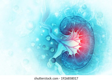 34,166 Medical background kidney Images, Stock Photos & Vectors ...