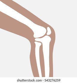 Human Knee Joint Side View Stock Illustration 543276259