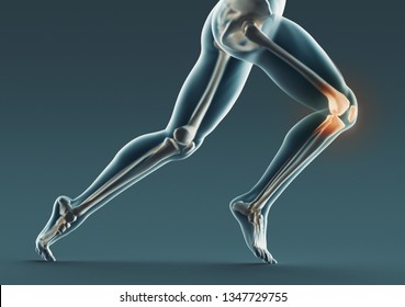 Human Legs And Bones, X Ray, 3d Rendering