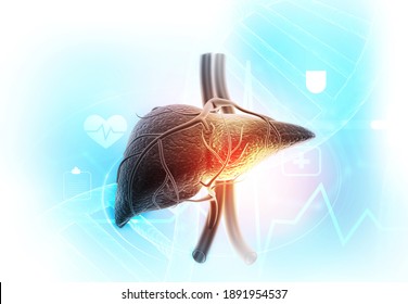 Human liver on blue background. 3d illustration		
