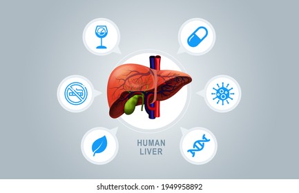 Human Liver_Causes of steatosis, elements in flat style for liver disease 2d image.