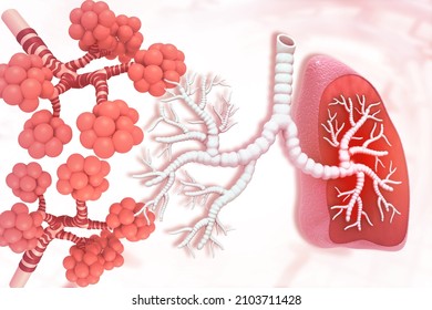 3,413 Alveoli 3d Images, Stock Photos & Vectors | Shutterstock