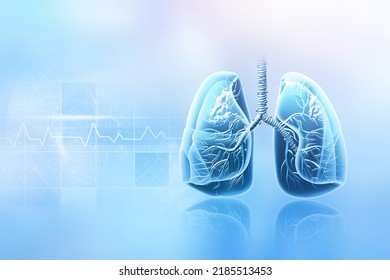 Human Lungs Anatomy On Blurred Medical Background. 3d Illustration