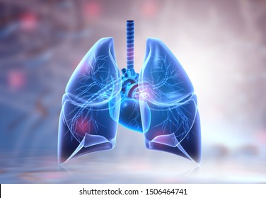 Human Lungs Anatomy On Science Background. 3d Illustration	