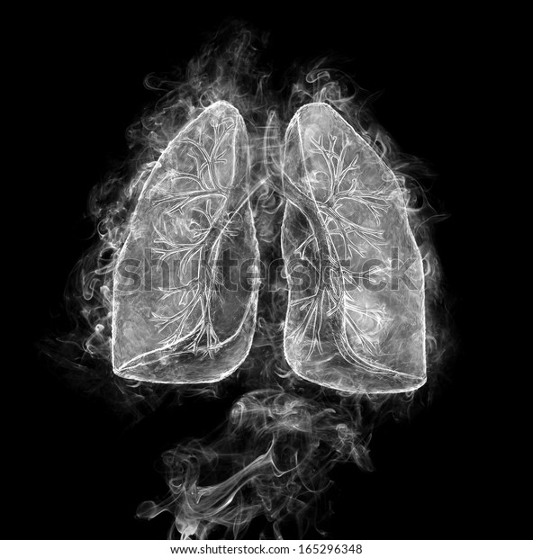 Human Lungs Bronchi Made Smoke On Stock Illustration 165296348