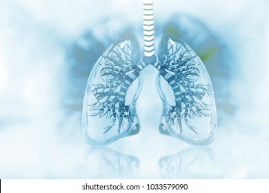 Human Lungs On Scientific Background. 3d Illustration