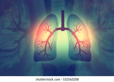 Human Lungs On Scientific Background. 3d Illustration