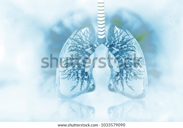 Human\
lungs on scientific background. 3d\
illustration