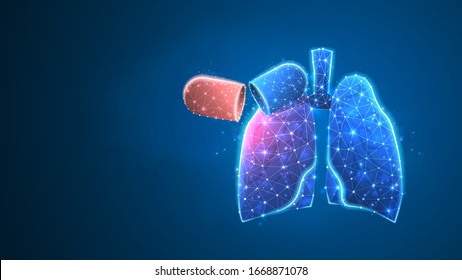 Human Lungs Organ Anatomy Biological Air Stock Vector (Royalty Free ...