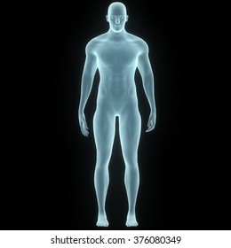 Human Male Muscle Body