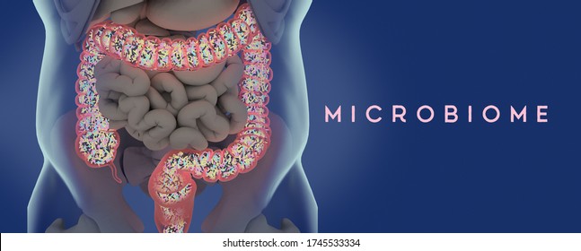Human microbiome large intestine filled with bacteria. Title: "Microbiome"
3D illustration
