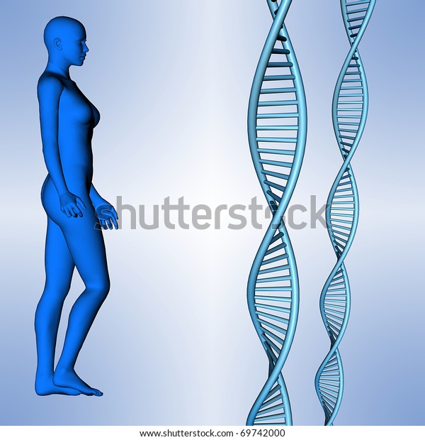 Human Morphology Dna Structure Stock Illustration 69742000