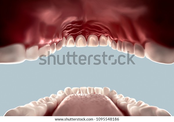 human mouth open,3D view from the\
inside looking out, teeth, tongue isolated on\
white