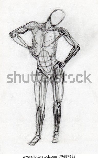 Human Muscle Figure Traditional Pencil Drawing Stock Illustration ...