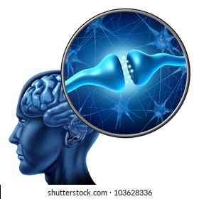 Human Nerve Cell Synapse Receptor With A Human Head And Brain And A Magnification Of An Anatomy  Detail Showing The Biological Function Of Neurons Or Neurological  And Cognitive Function On White.