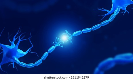Human neuron structure. Formation of a new connection in brain. Neurology illustration. 3D rendering