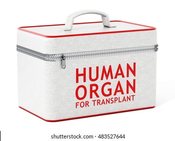 Human Organ For Transplant Box. 3D Illustration.