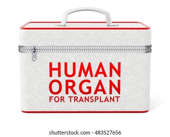 Human Organ For Transplant Box. 3D Illustration.