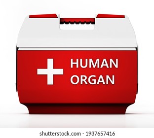 Human Organ Transport Box Isolated On White Background. 3D Illustration.