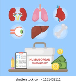 Human Organs For Transplant. Cooler Box, Contract And Money.