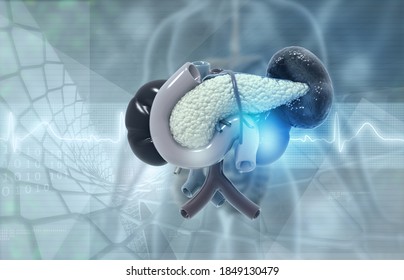 Human pancreas anatomy on medical background.3d illustration		