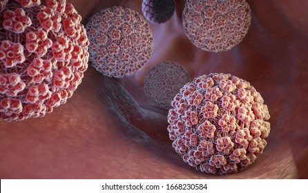 human papillomaviruses hpvs)