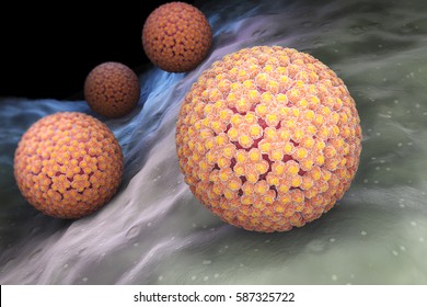 Human papillomavirus (HPV) is a DNA virus from the papillomavirus family. 3D illustration