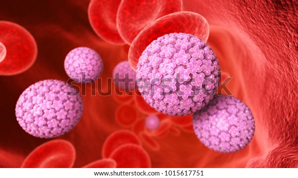 papillomavirus image