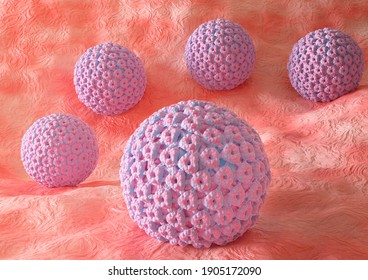 human papillomavirus or HPV, is a sexually transmitted infection. It causes warts on the skin and in the oral, anal and genital regions. 3D rendering