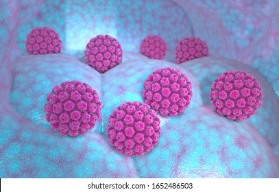 Infektion mit humanen Papillomviren. Virus. HPV ist weltweit die häufigste sexuell übertragbare Infektion. Die HPV-Infektion wird durch humanen Papillomvirus, ein DNA-Virus, 3D-Rendering, verursacht