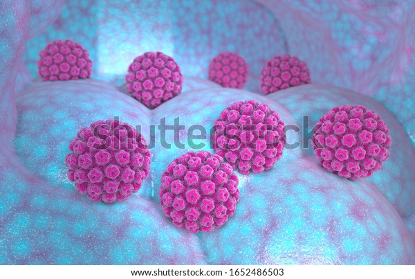Human\
papillomavirus infection. Virus. HPV is the most common sexually\
transmitted infection globally. HPV infection is caused by human\
papillomavirus, a DNA virus, 3d\
render