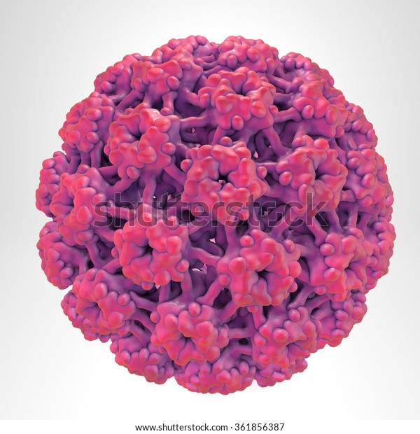 papillomavirus humain de type 16