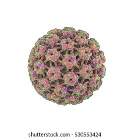 Laboratóriumok humán papillomavírus számára. HPV-fertőzés tünetei nők esetében