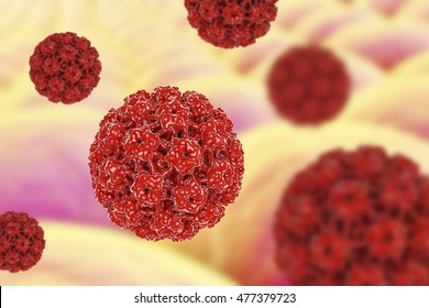 Szájüregi rákok / HPV szűrés, Laboratóriumok humán papillomavírus számára