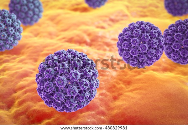 Human papillomaviruses on surface of skin or\
mucous membrane, a virus which causes warts located mainly on hands\
and feet. Some strains infect genitals and can cause cervical\
cancer. 3D\
illustration