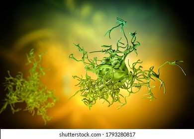 Human parasitic amoeba with pseudopodia, 3D illustration Stock Illustration