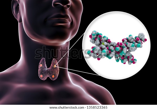 ヒト副甲状腺ホルモン分子モデル3dイラスト パラトルモン パラチリンとも呼ばれ 副甲状腺から分泌され 骨のリモデリングに関与する のイラスト素材