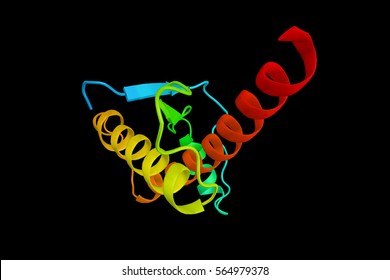 Human Prion (3d Model). Prion Is An Infectious Agent That Can Fold In Multiple, Structurally Distinct Ways And Can Cause Neurodegenerative Disease.