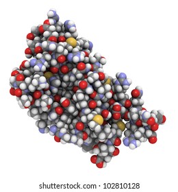 Human Prion Protein Molecule (hPrP), Chemical Structure. HPrP Is Associated With Transmissible Spongiform Encephalopathies, Including Creutzfeldt-Jacob Disease. Atoms As Spheres, Conventional Coloring