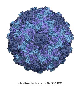 Human Rhinovirus Virus (capsid). This Virus Is A Causative Agent Of The Common Cold