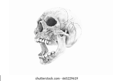 Human Scary Skull Locally Deformed in Rich colors in to the White background. Concept of death, horror. Spooky halloween symbol. Illustration of 3D rendering.