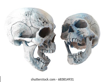 Human Scary Skull Locally Deformed in Rich colors in to the White Background. Concept of death, horror. Spooky Halloween Symbol. Illustration of 3D rendering.
