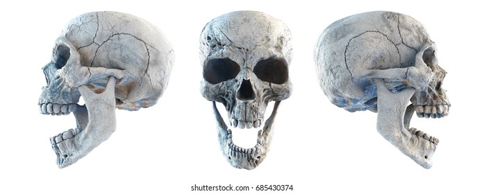 Human Scary Skull Locally Deformed in Rich colors in to the White Isolated Background. Concept of death, horror. Spooky Halloween Symbol. Illustration of 3D rendering.