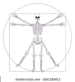 A Human Skeleton In A Da Vinci Vitruvian Man Style Pose