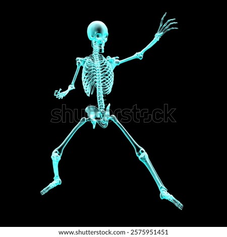 Human skeleton in a dynamic fighting pose, depicted in colorful X-ray style, 3D illustration showcasing movement and skeletal structure.