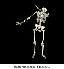 Human Skeleton Posing Dab Perform Dabbing Stock Illustration 648232312 ...